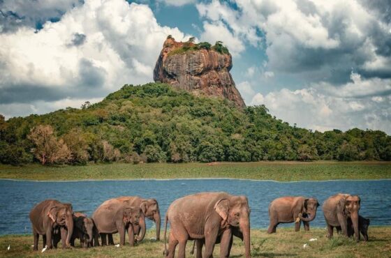Sigiriya Rock Fortress