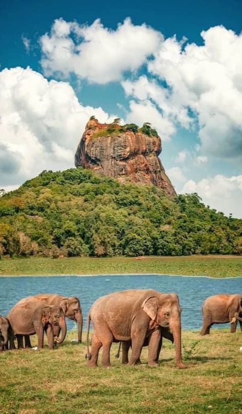 Matale District - Sri Lanka