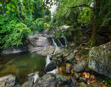 Balangoda Ranmudu Water Fall
